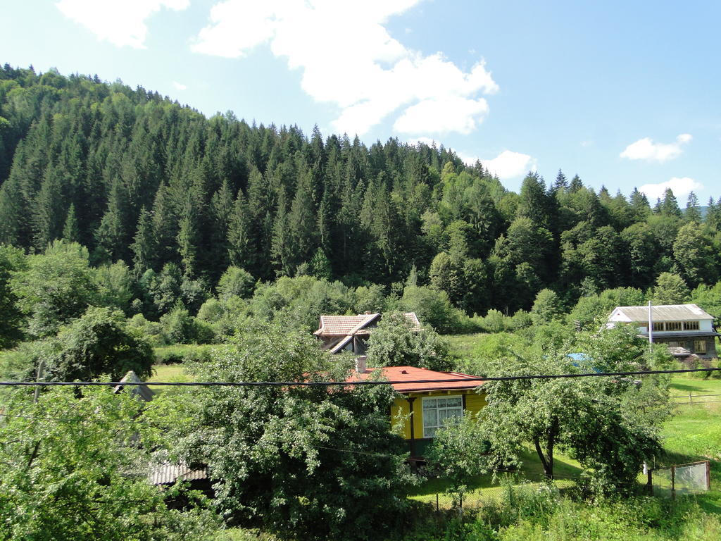 Villa Bilogirya Яремче Екстер'єр фото
